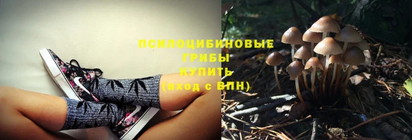 синтетический гашиш Бородино