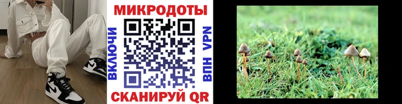 наркота Набережные Челны Псилоцибиновые грибы ЛСД